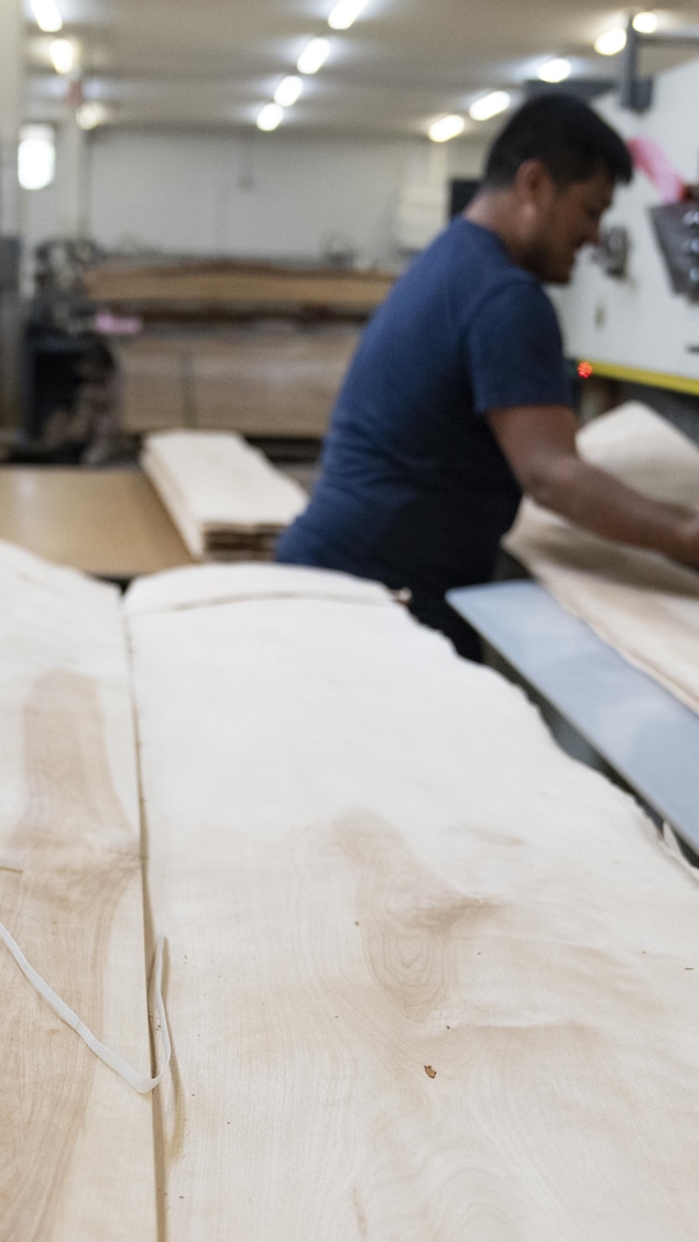 Du bouleau est découpé sur mesure chez Industrie Ergie Inc., une entreprise spécialisée dans la fabrication et la distribution de placages, le vendredi 12 mai 2023 à Victoriaville, au Québec.