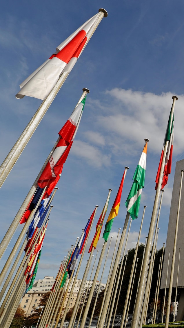 L UNESCO EN BREF visual data 8