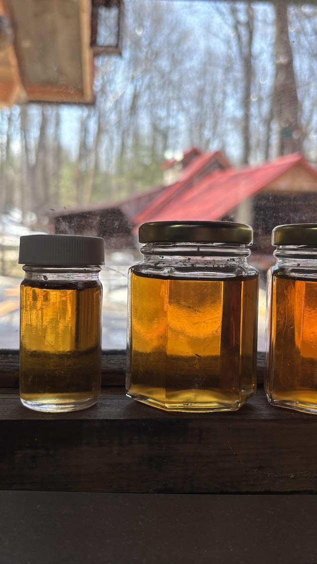Des pots en vitre contenant du sirop d'érable. 