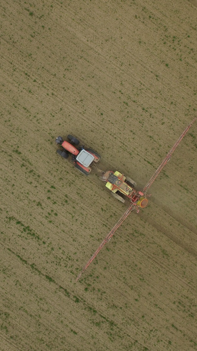 Un tracteur épand des pesticides dans un champ.