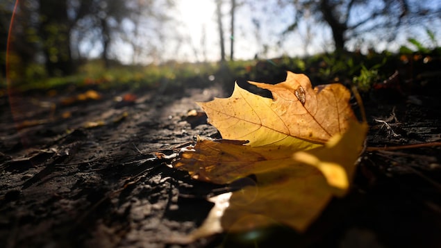 Suggestions de randonnées pour admirer les couleurs de l’automne