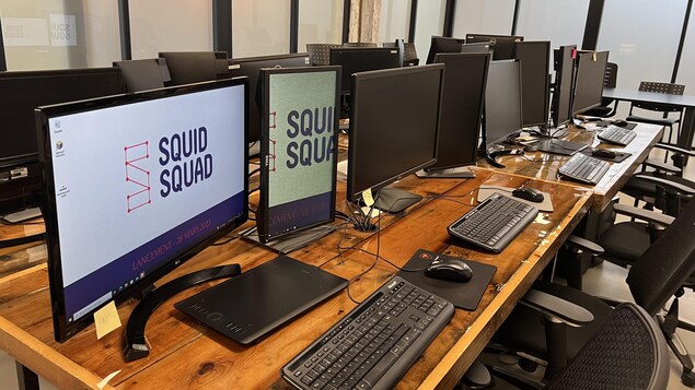 Des écrans d'ordinateur avec le logo de Squid Squad.