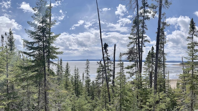 Un projet de belvédère pour afficher la présence innue dans l’œil du Québec