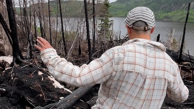 Le trésor le mieux gardé de la forêt boréale