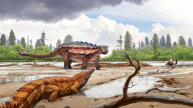Représentation artistique de l’Akainacephalus johnsoni dans son milieu naturel.
