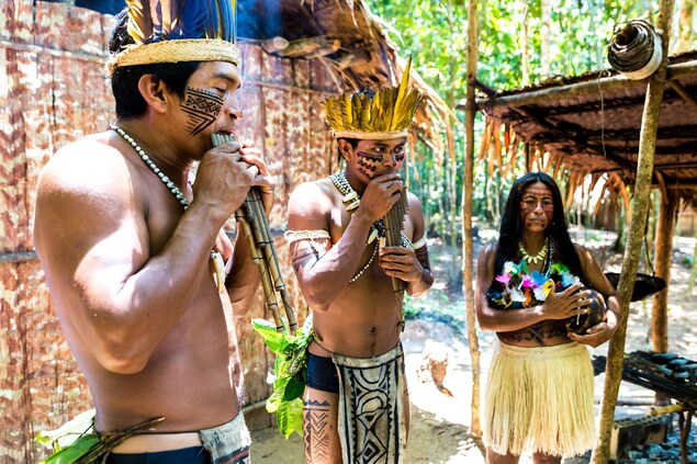 Plusieurs groupes culturels ne pratiquent pas le baiser, comme certaines communautés du Brésil. Plusieurs groupes culturels ne pratiquent pas le baiser, comme certaines communautés du Brésil.