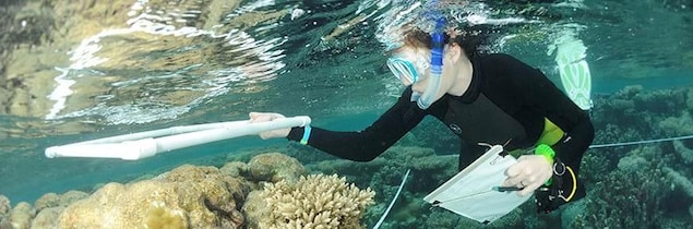 Une biologiste étudie un récif corallien dans l'archipel des Chagos. Une biologiste étudie un récif corallien dans l'archipel des Chagos.