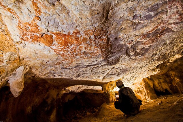 Le dessin d'un animal dans une grotte de la province de Kalimantan,en Indonésie. Le dessin d'un animal dans une grotte de la province de Kalimantan,en Indonésie.