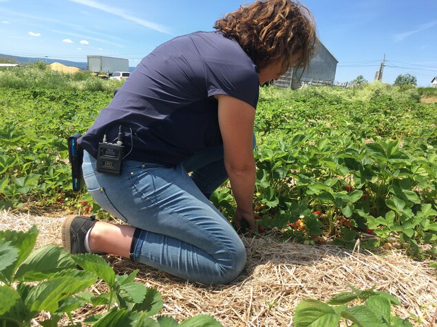 Madeleine CÃ©rÃ© travaille dans son champ.