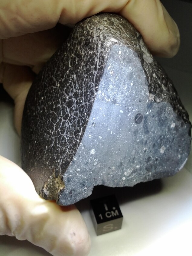Le météorite martien NWA 7034, surnommé « beauté noire ». Le météorite martien NWA 7034, surnommé « beauté noire ».