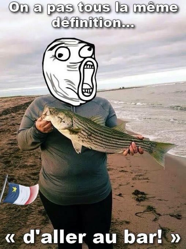 Une personne tient un bar rayé (le poisson) dans ses mains. Elle dit : « On n'a pas tous la même définition "d'aller au bar!" ». Une personne tient un bar rayé (le poisson) dans ses mains. Elle dit : « On n'a pas tous la même définition "d'aller au bar!" ».