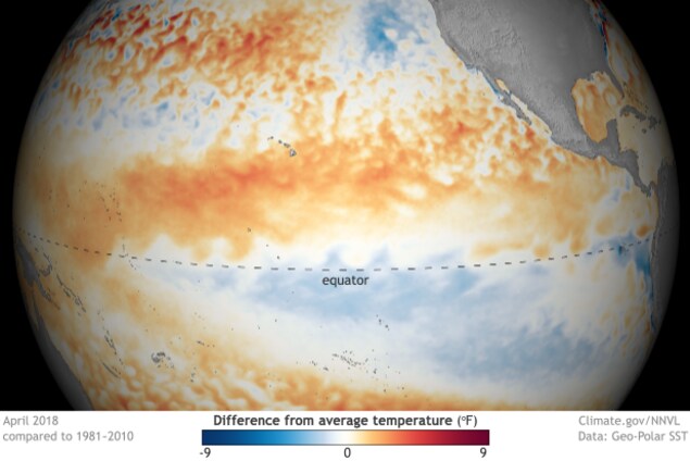 Une photo satellite montre la température des océans en rouge ou en bleu selon la normale habituellement observée. Une photo satellite montre la température des océans en rouge ou en bleu selon la normale habituellement observée.