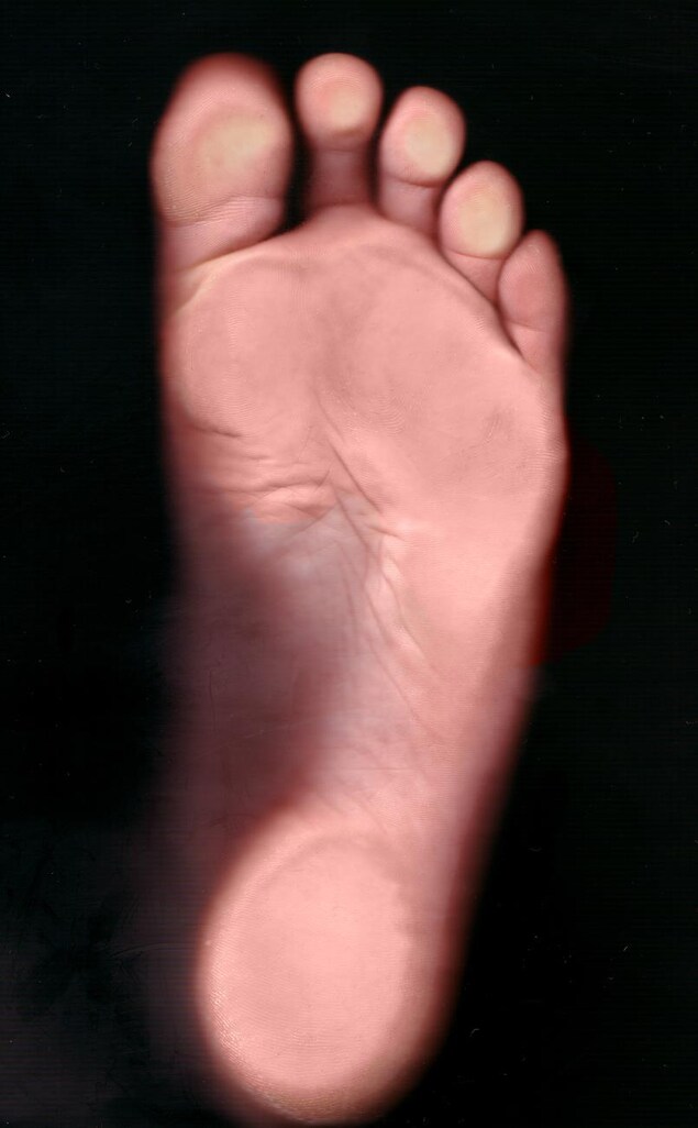 Un pied humain. Un pied humain.