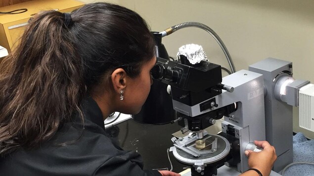 La chercheuse Poorna Srinivasan regarde un morceau à l'aide d'un microscope. La chercheuse Poorna Srinivasan regarde un morceau à l'aide d'un microscope.