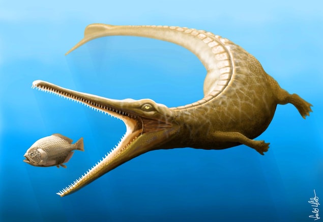 Représentation artistique d'un Magyarosuchus fitosi. Représentation artistique d'un Magyarosuchus fitosi.