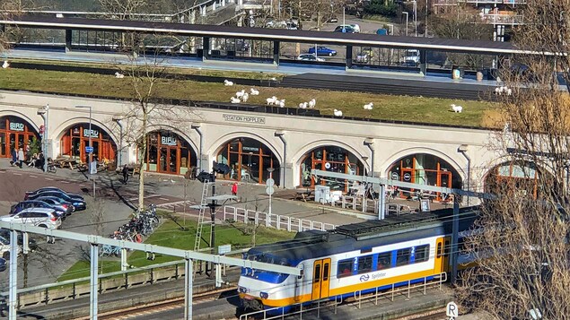 Le toit vert de l'ancienne gare Hofplein, dont le bâtiment a été transformé en centre commercial.