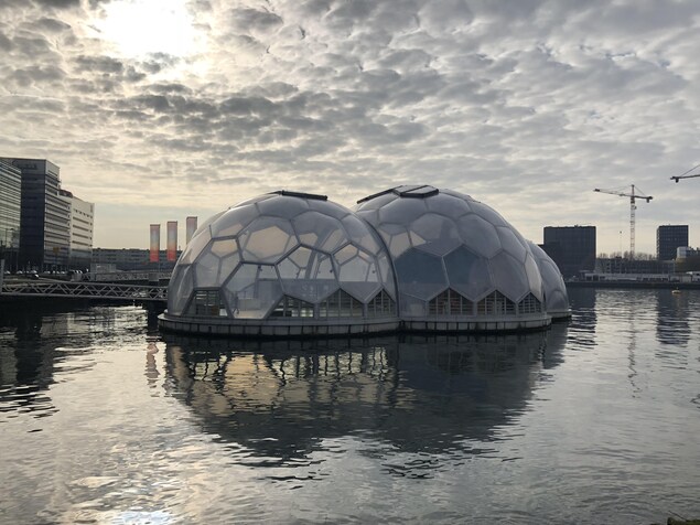 Le pavillon flottant de Rotterdam, un projet expérimental d'habitations adaptées aux effets des changements climatiques. 