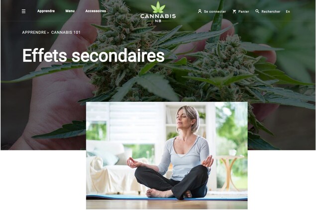 Capture d'écran du site cannabis-nb.com le 17 octobre 2018. Capture d'écran du site cannabis-nb.com le 17 octobre 2018.