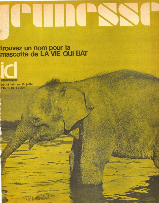 Page couverture du cahier jeunesse de la revue ICI Radio-Canada avec une photo d'éléphanteau. Page couverture du cahier jeunesse de la revue ICI Radio-Canada avec une photo d'éléphanteau.