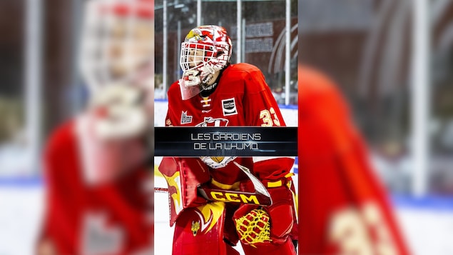  « Les gardiens de la LHJMQ ».