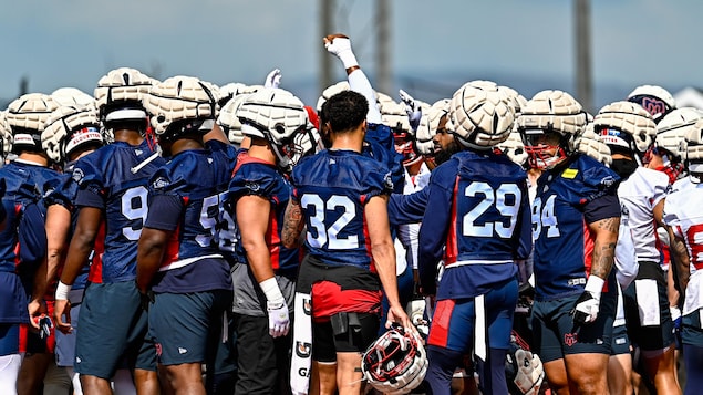 Avec 41 joueurs de retour, la saison des Alouettes est axée sur la continuité