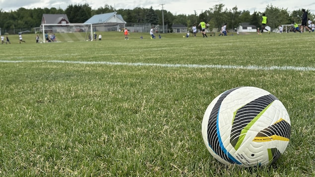 Soccer NB dévoile son plan de match pour assurer sa croissance