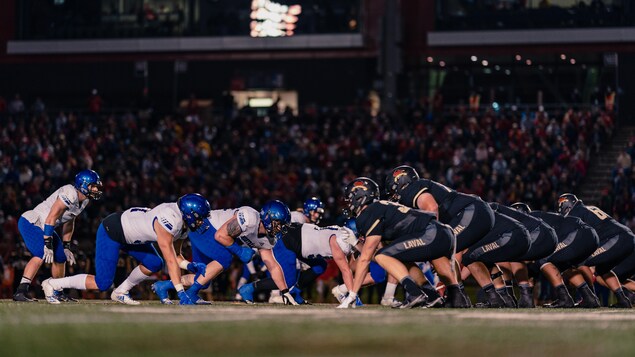 Rouge et Or c. Carabins : l’avantage du terrain en éliminatoires à l’enjeu