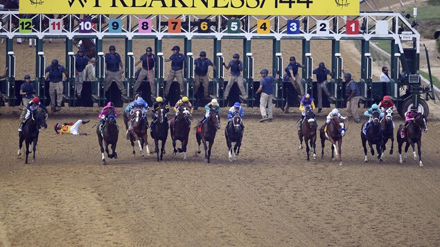 Les chevaux s'élancent sur la piste.