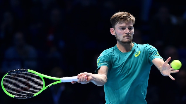 David Goffin David Goffin