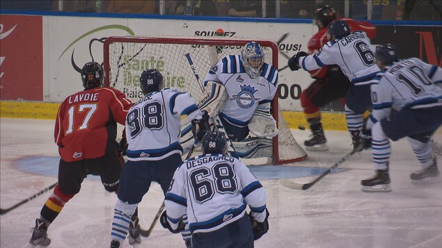 Des joueurs de hockey sur la glace