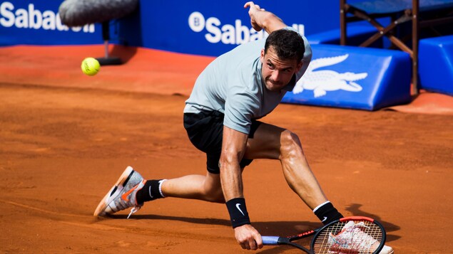 Grigor Dimitrov Grigor Dimitrov
