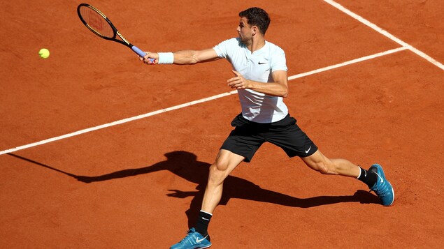 Grigor Dimitrov Grigor Dimitrov