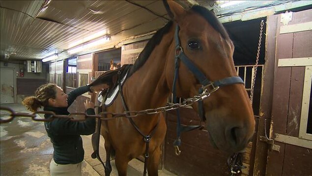Isabelle Lapierre et son cheval.