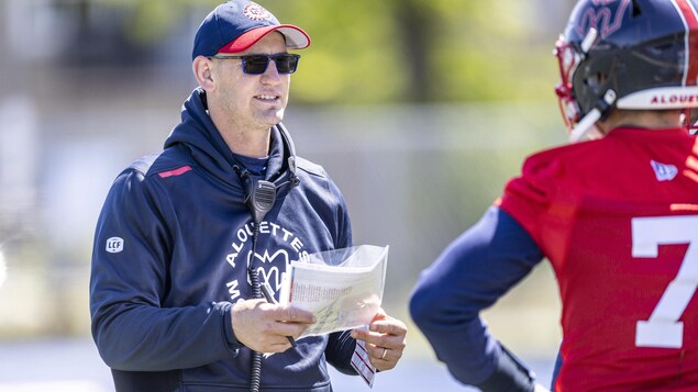 Des Alouettes en mutation