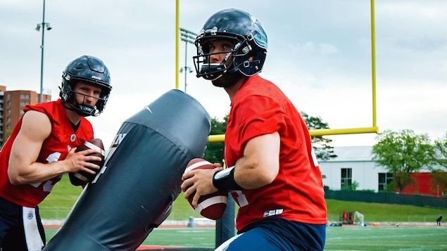 Les Argonauts veulent s’imposer en faisant du neuf avec du vieux