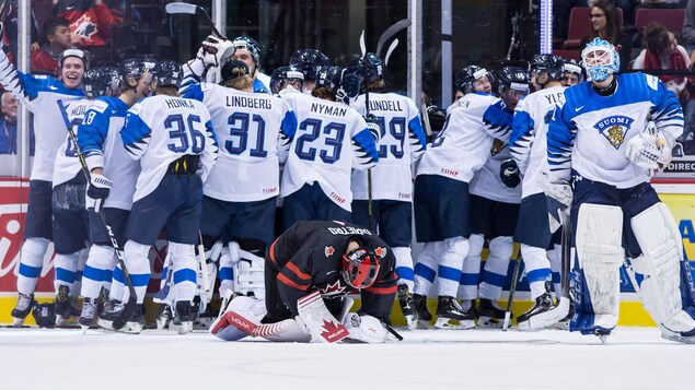 Michael DiPietro
