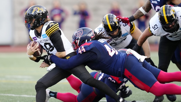 Les Alouettes dans la fosse aux tigres