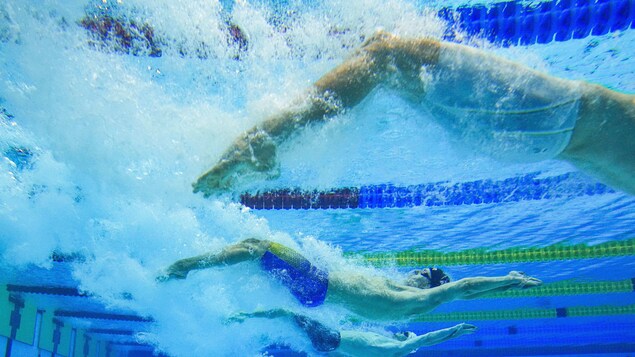 Des compétiteurs nagent sur le dos. 