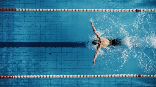 Vue aérienne d'une piscine où un homme effectue la nage papillon.