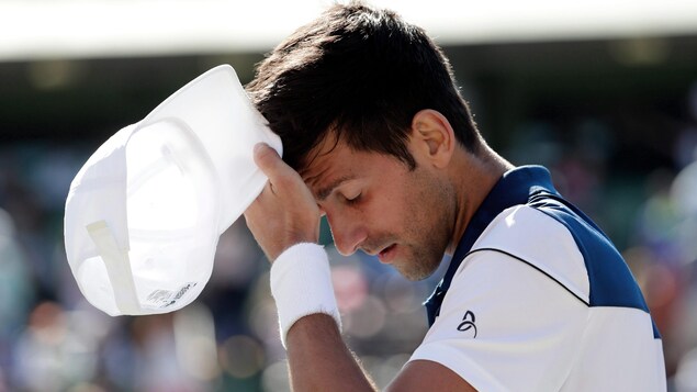 Novak Djokovic Novak Djokovic