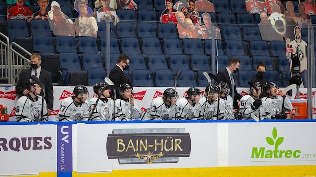 Des joueurs de hockey regardent un match de leur banc.