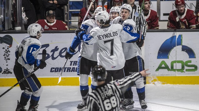 Sea Dogs celebrate their underdog status going into the Memorial Cup finals.