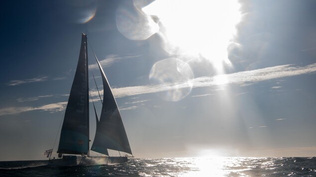 Un voilier vogue sur l'océan, sous le soleil qui éclaire les vagues.