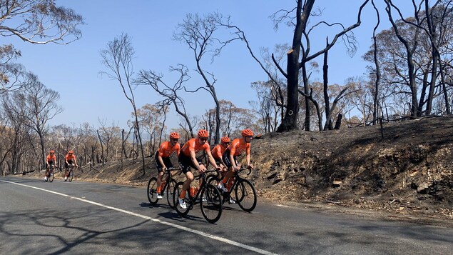 Des cyclistes à l'entraînement devant une nature dévastée par des feux.