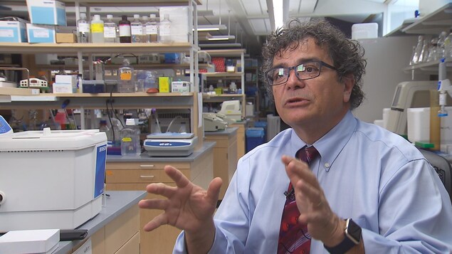 Vasilis Vasiliou est interrogé dans son laboratoire. Vasilis Vasiliou est interrogé dans son laboratoire.
