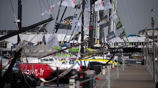 Des embarcations amarrées dans une marina.