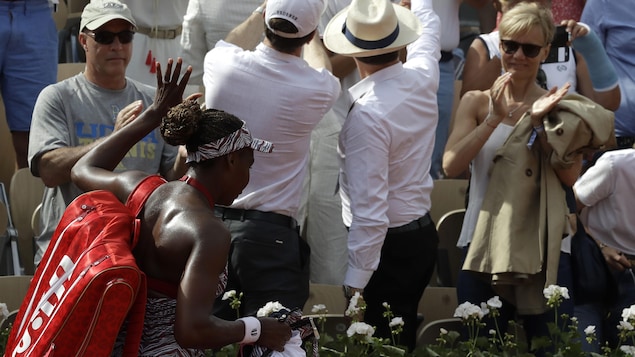 Venus Williams Venus Williams