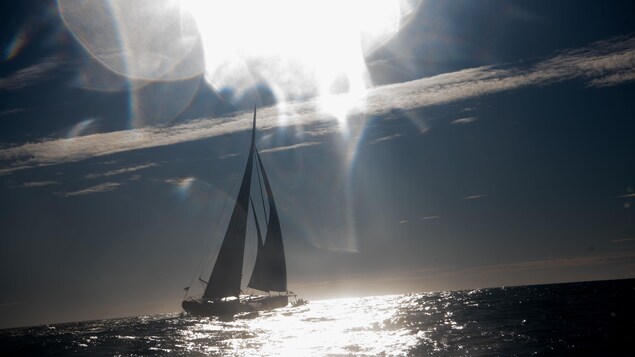 Le monocoque d'Alex Thomson