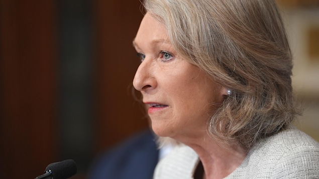La ministre de la Santé veut laisser Santé Québec « décider du DSN »