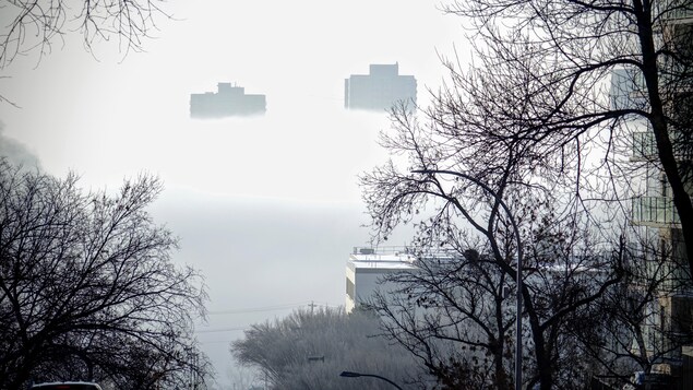Des bâtiments cachés par de la brume.